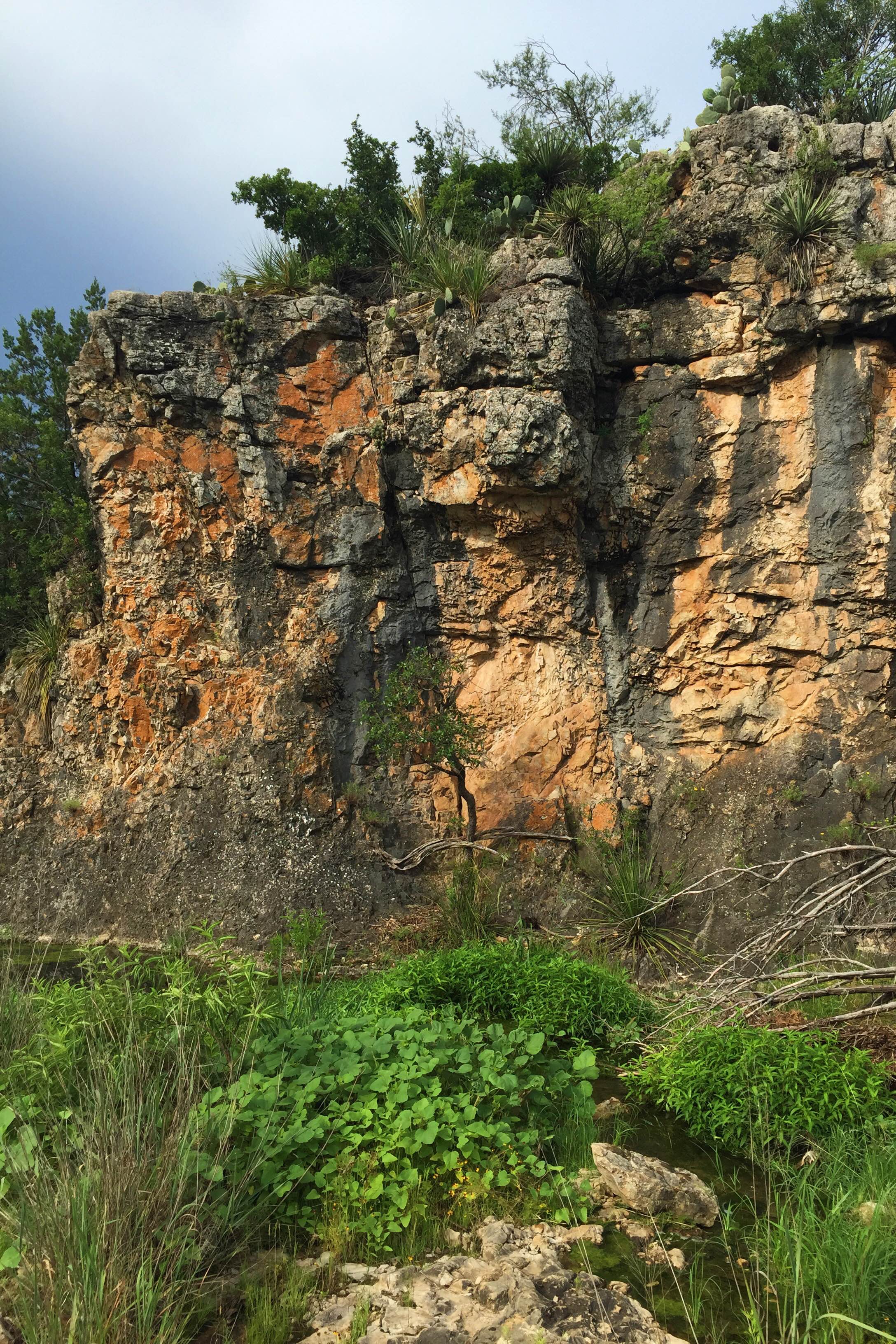 Limestone outcropping with a spring in the foreground.