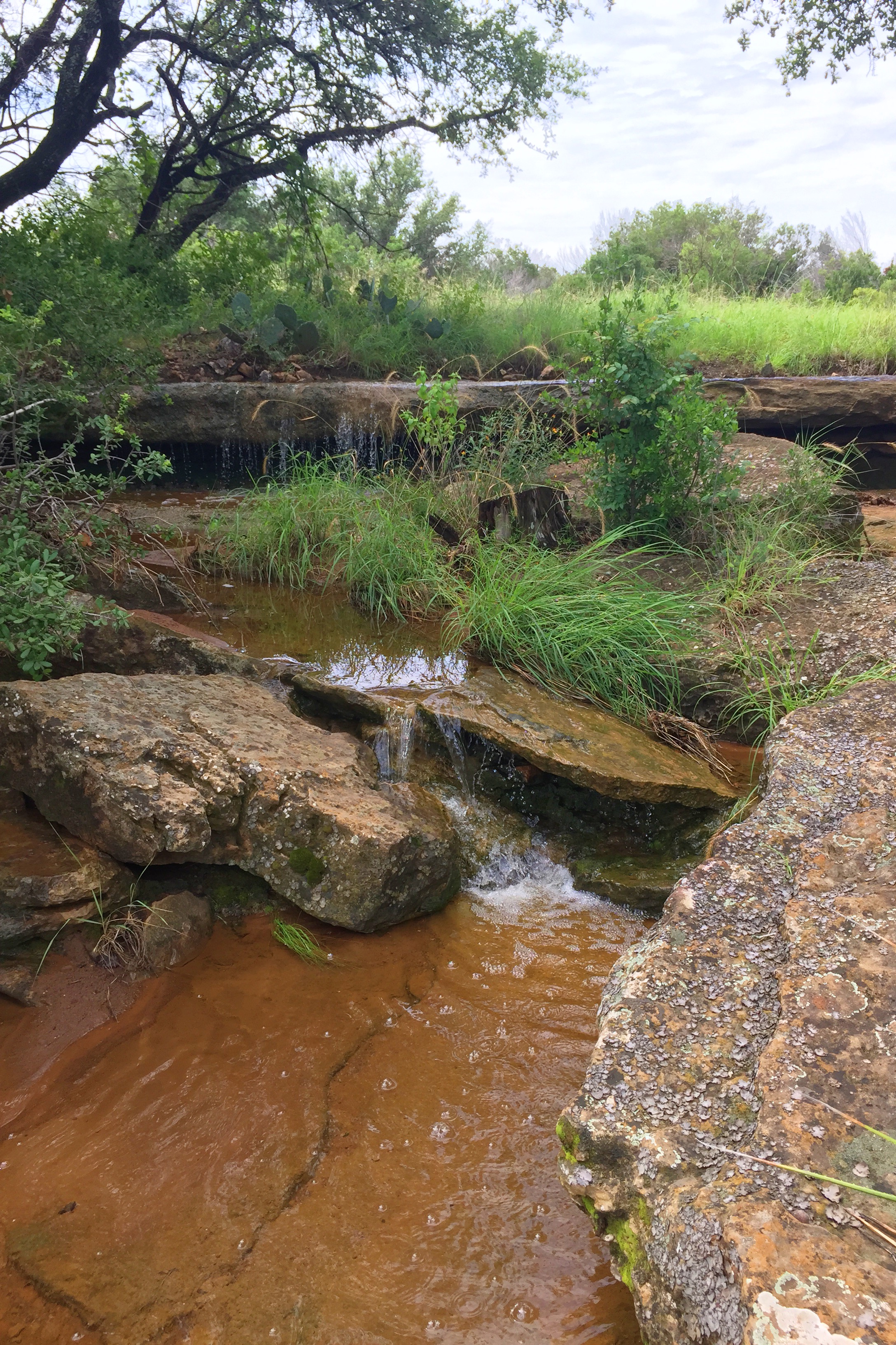 Intermittent creek that feeds the James River. 