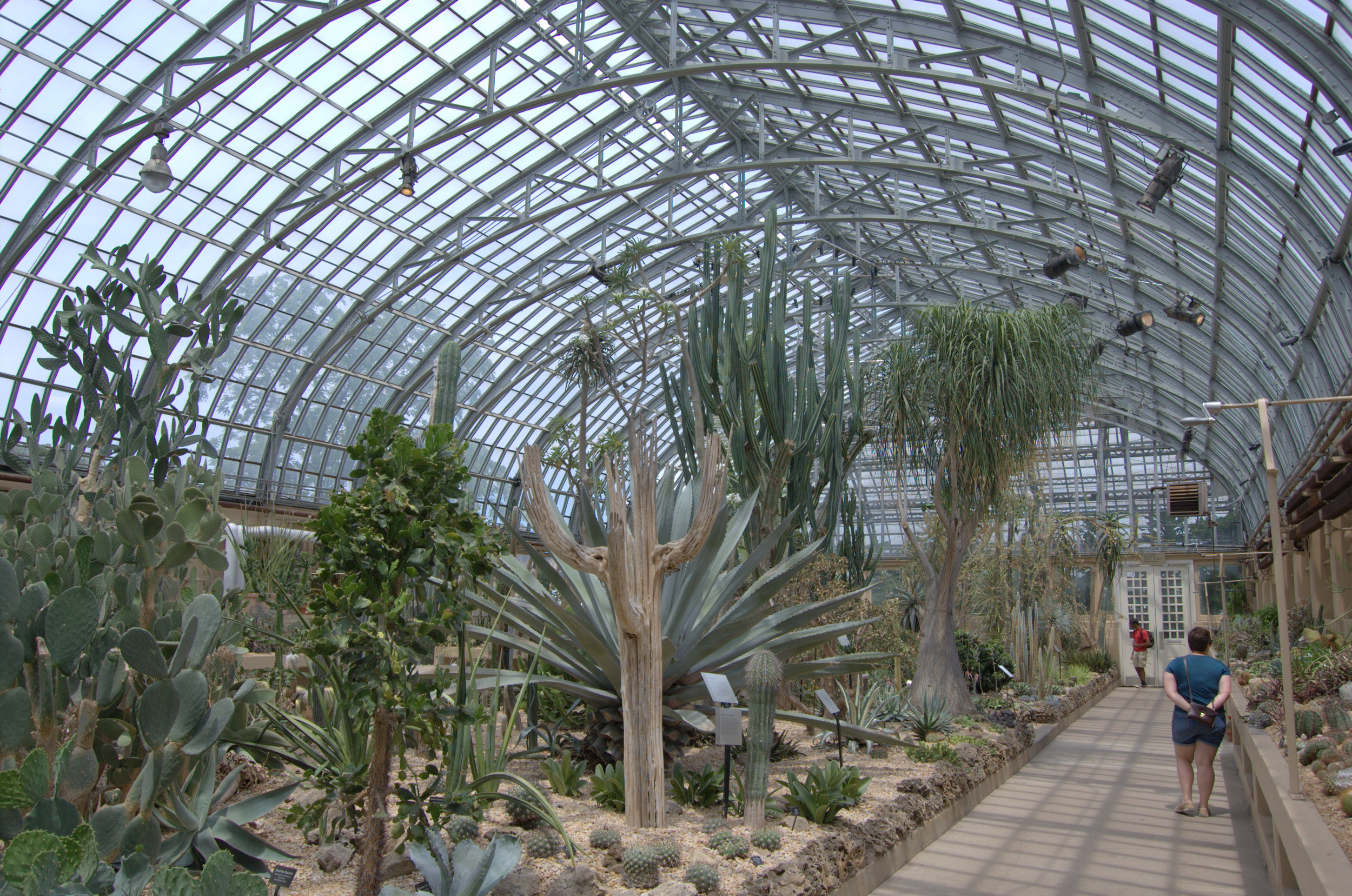 Desert House