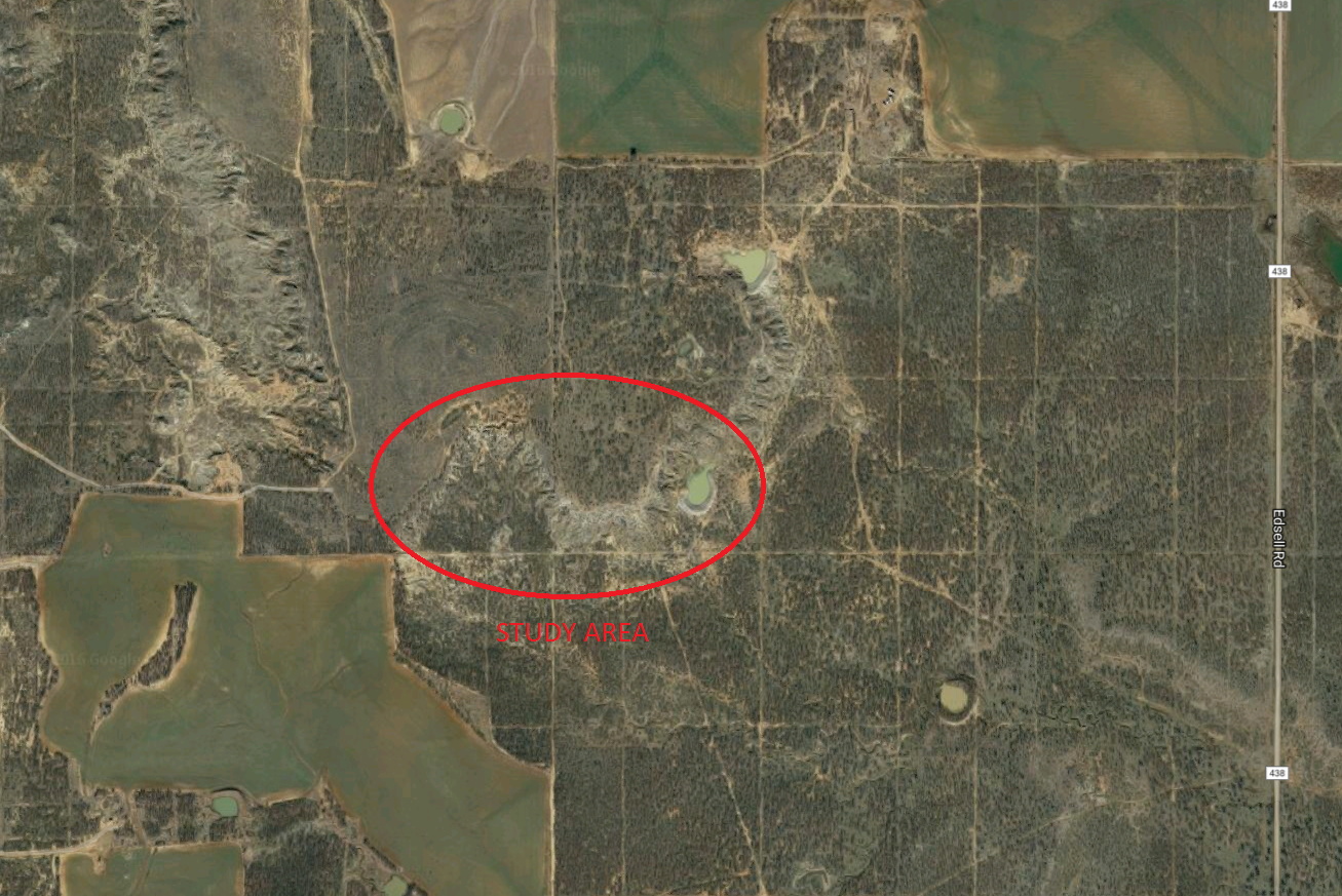 Area observed