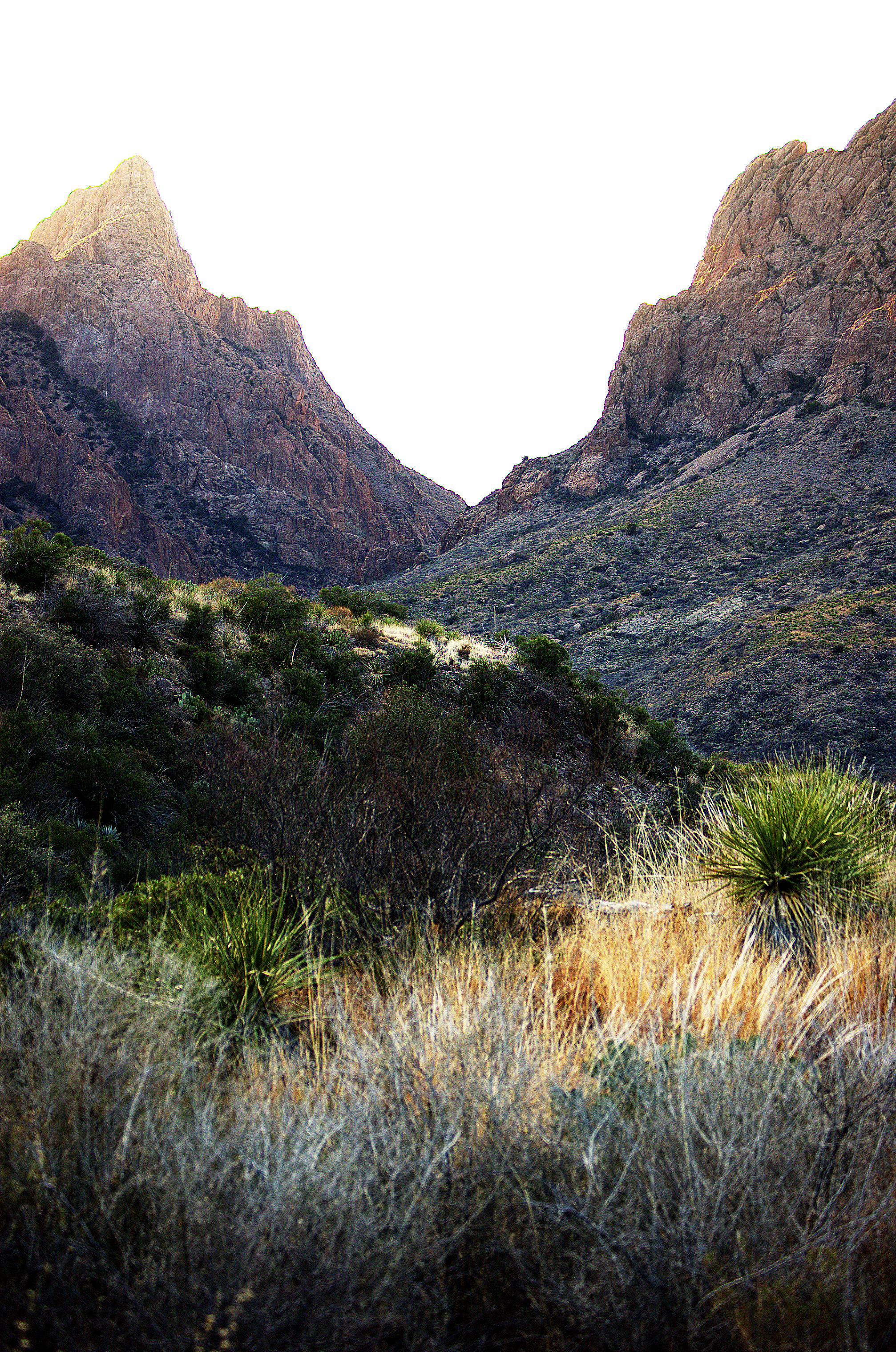 The Window at sunset