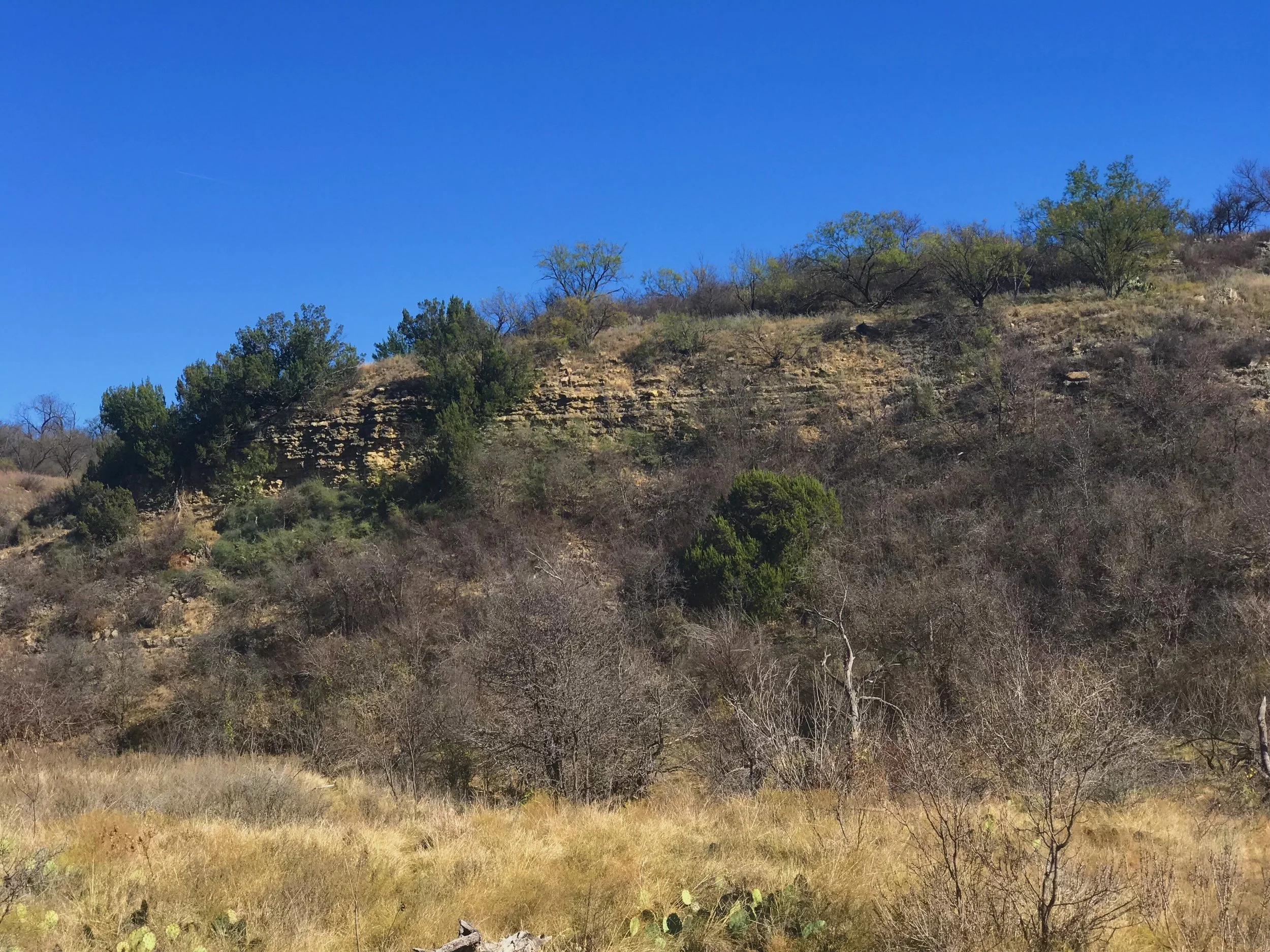 Limestone bluff along Ranger Creek