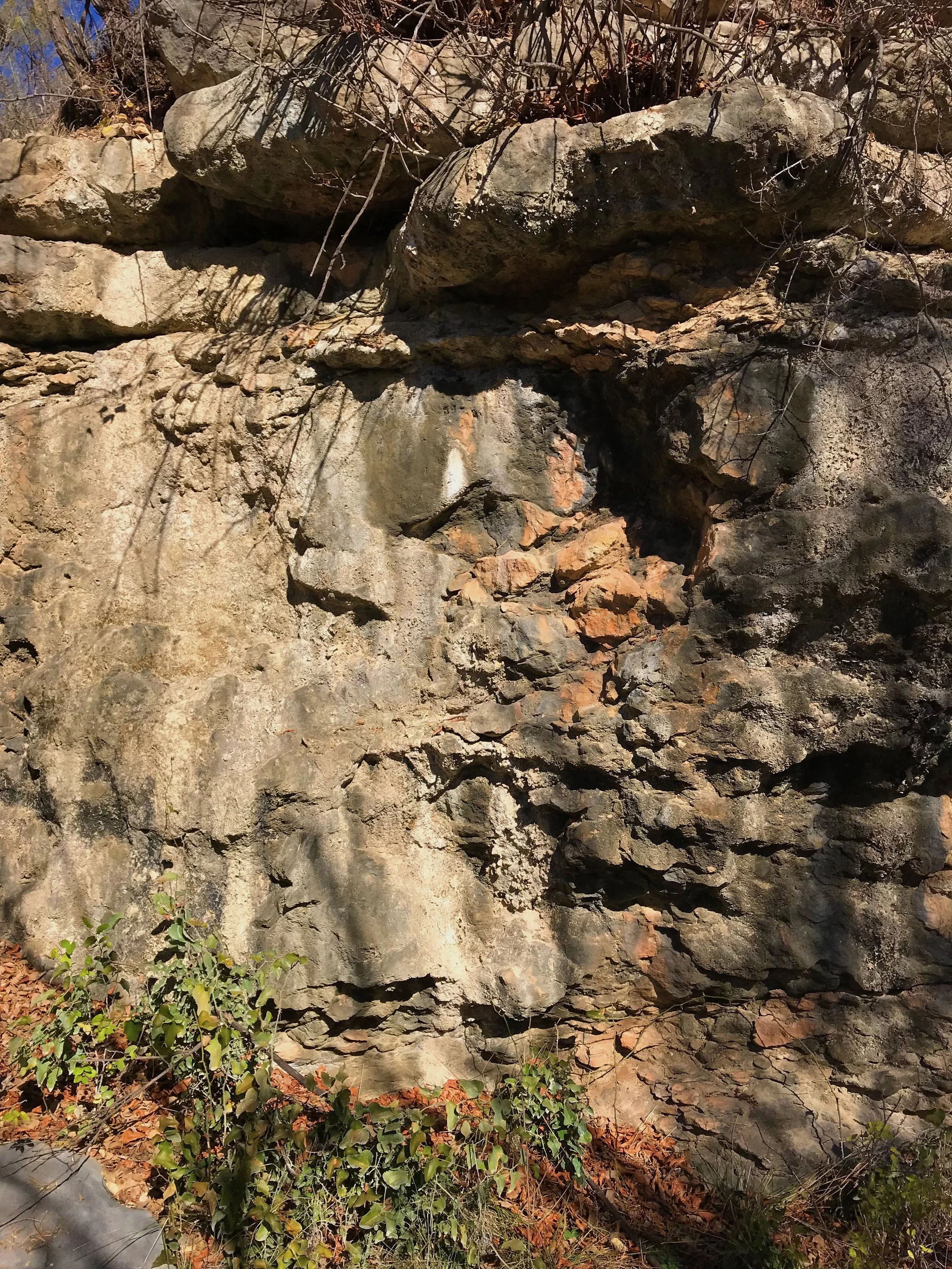 Limestone bluff with potential petroglyphs