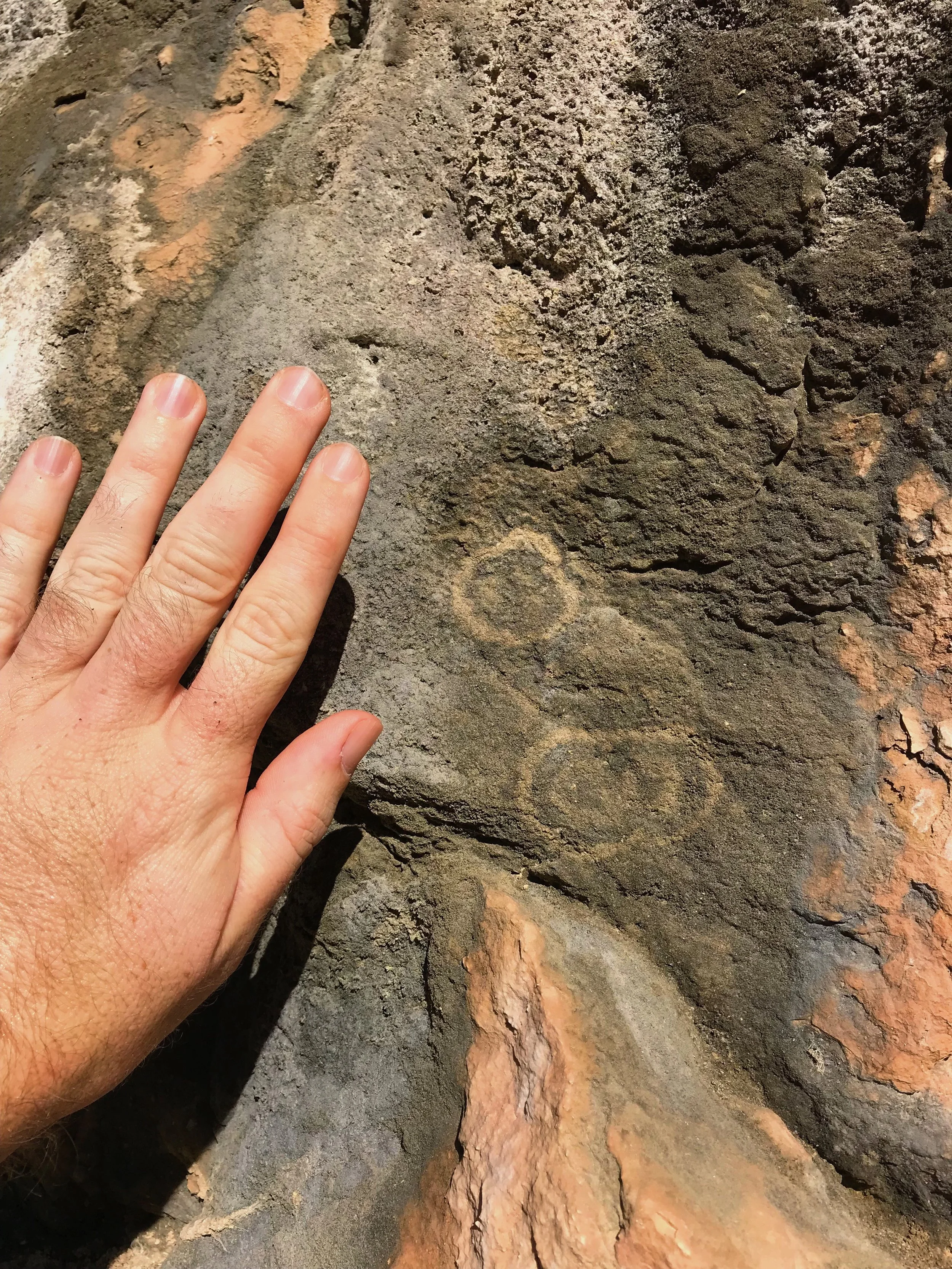 Limestone bluff with potential petroglyphs