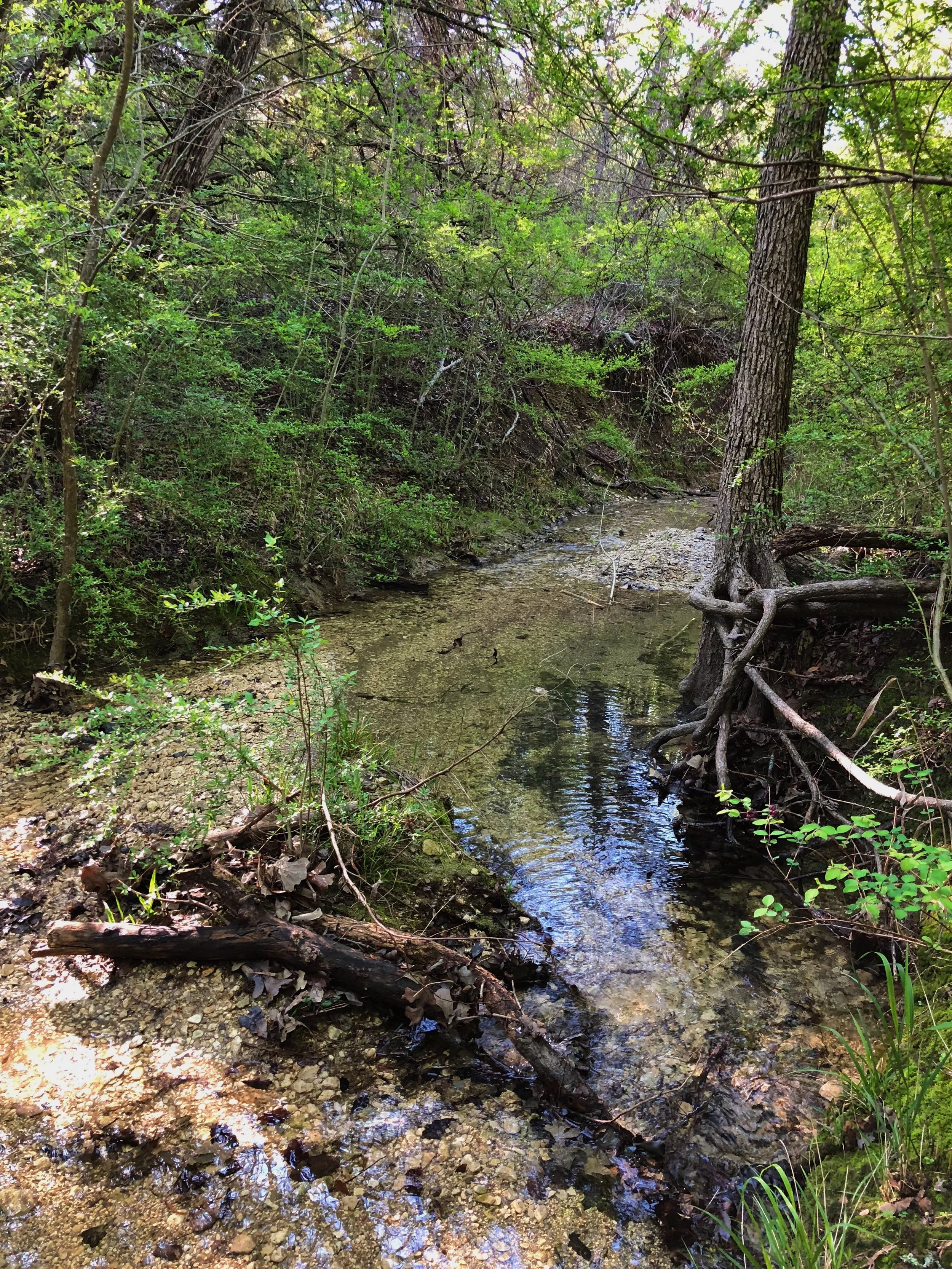 Many creeks snake their way between the hills.