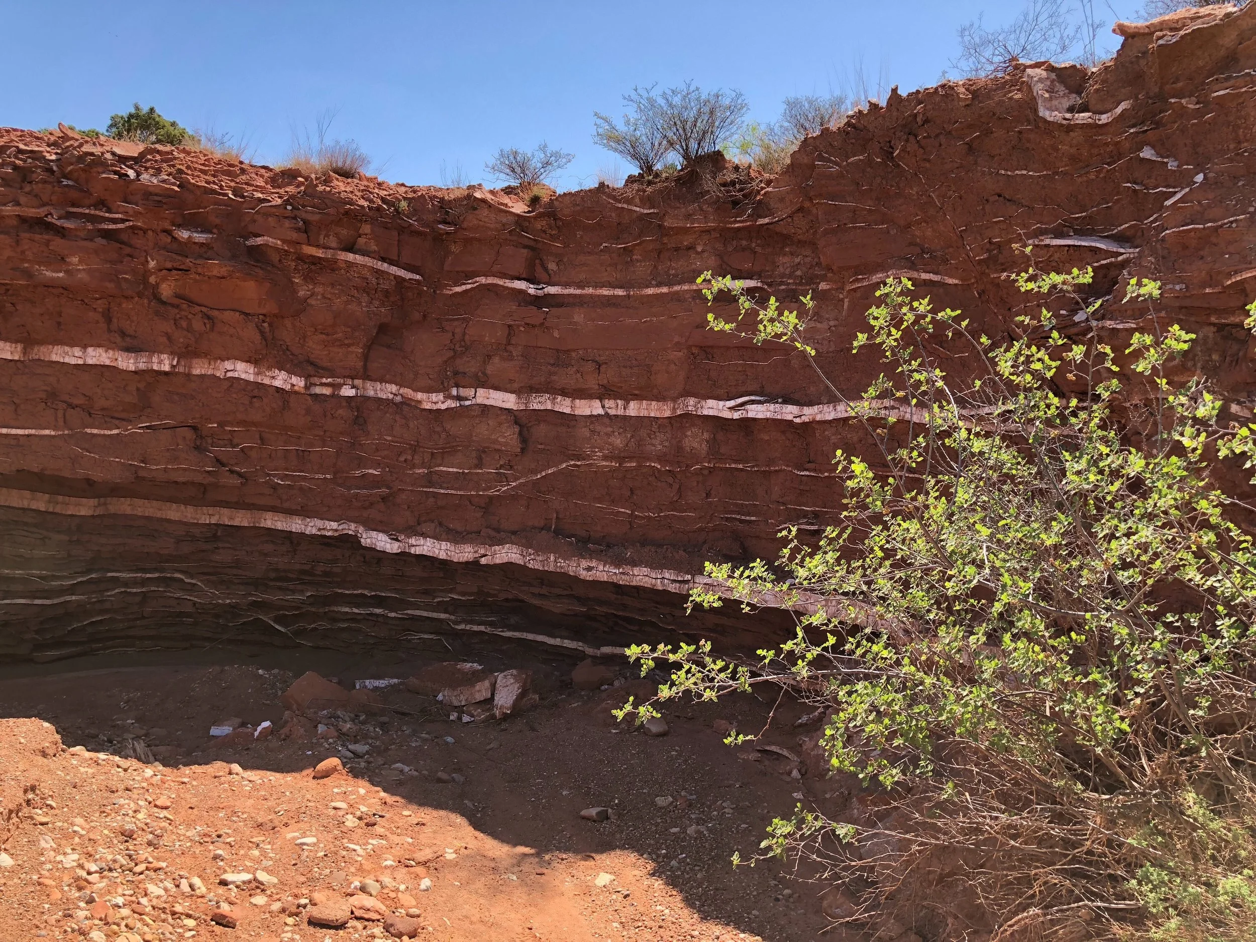 Dry wash along Upper Canyon Trail