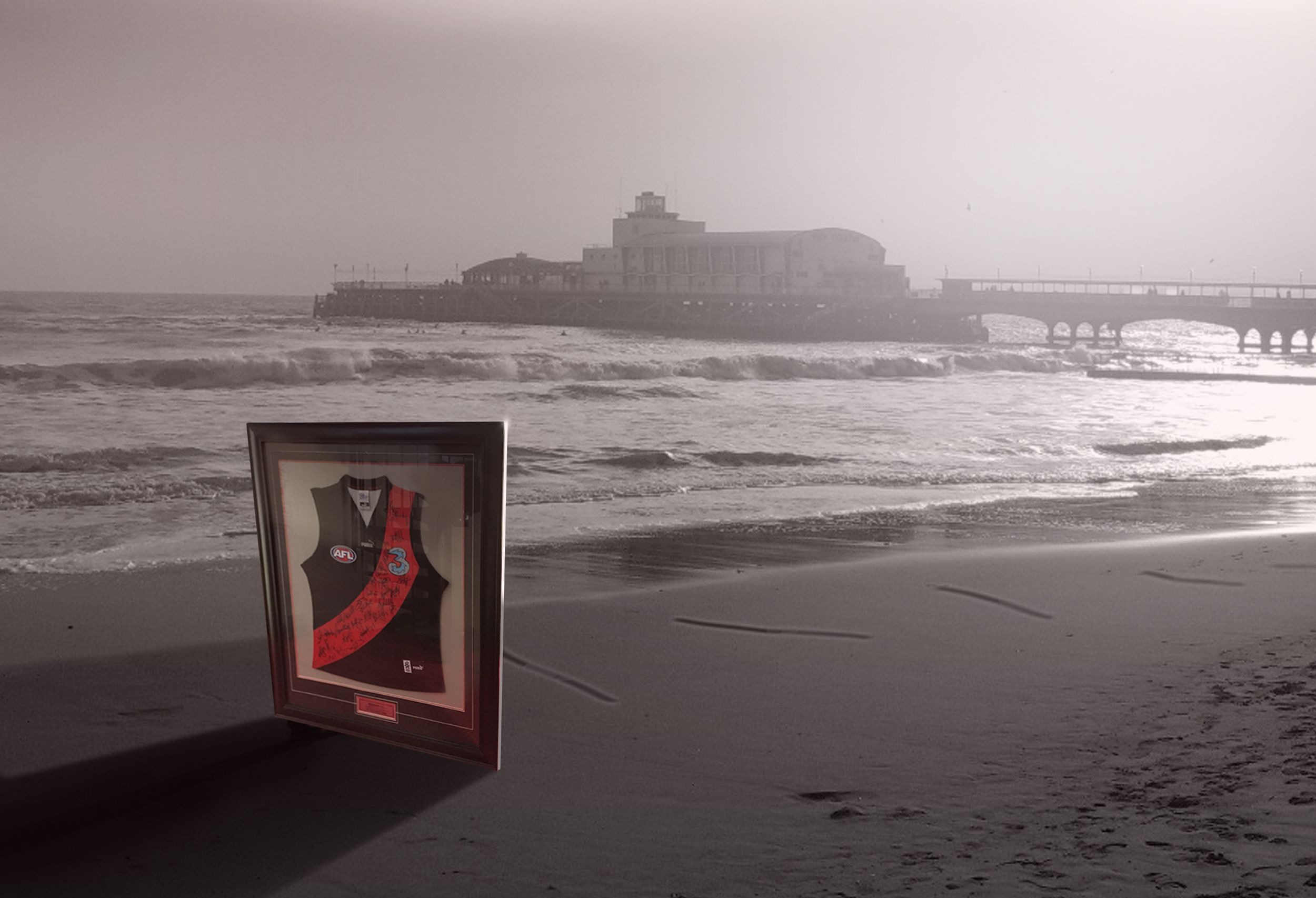 NEW WORK: DEEPLY DEPRESSED ESSENDON JUMPER GUMTREE AD.