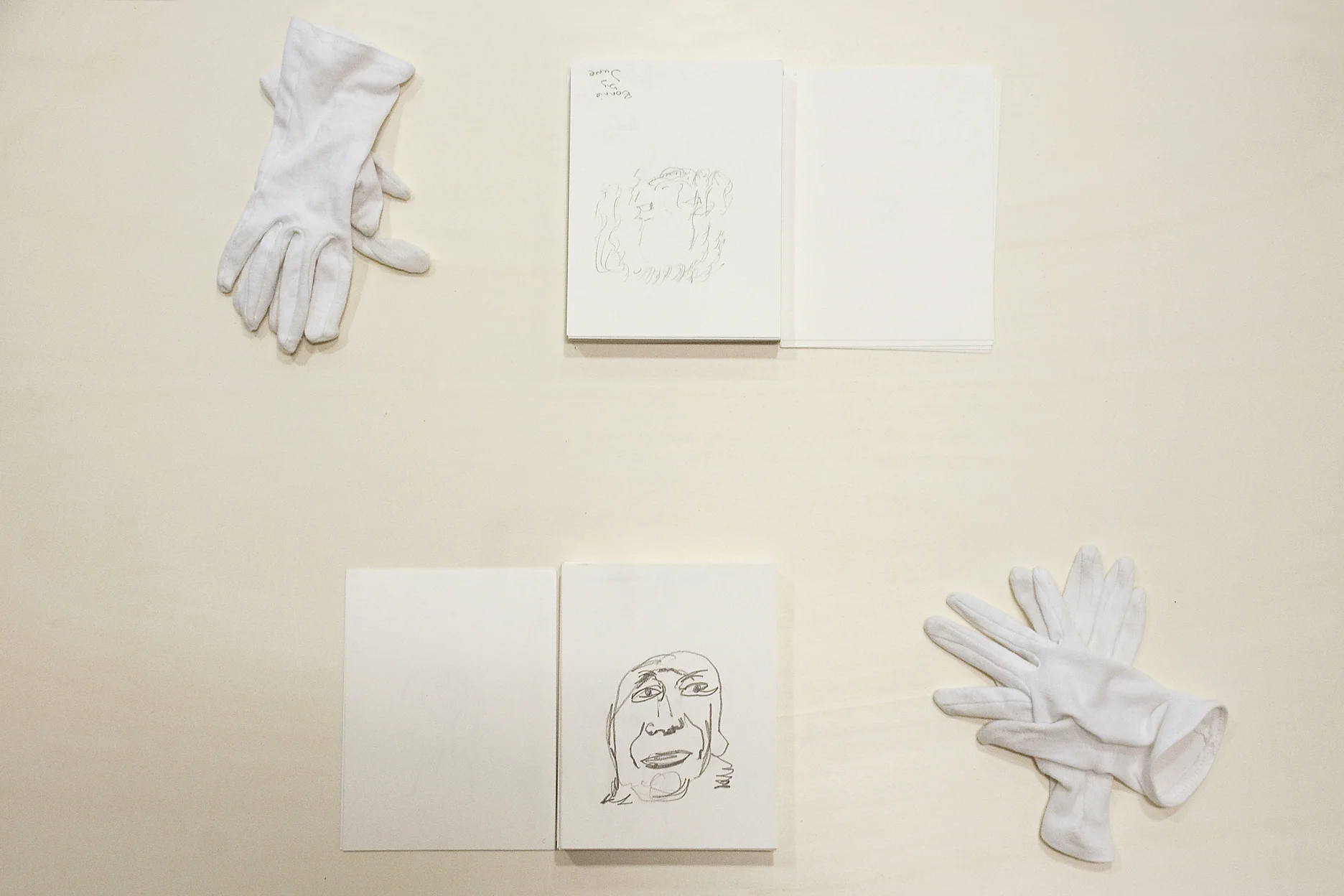 Installation View_Blind Trust_2011.jpg