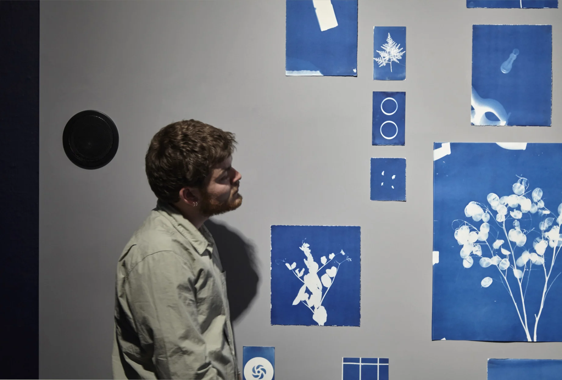 Jessie Brennan_Inside The Green Backyard (Opportunity Area)_2015-16_Installation_cyanotypes and oral recordings_detail.jpg