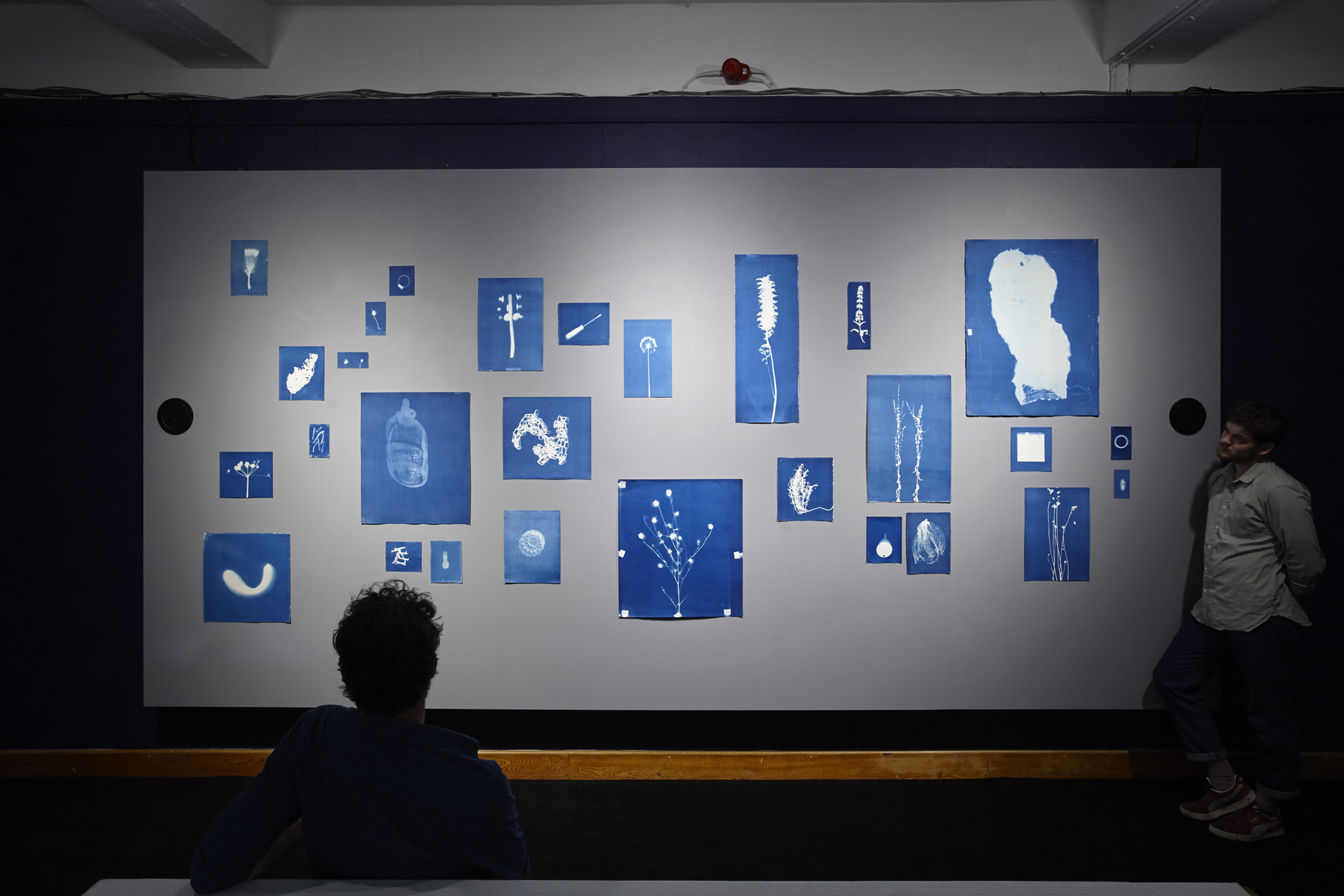 Jessie Brennan_Inside The Green Backyard (Opportunity Area)_2015-16_Installation_cyanotypes and oral recordings_56-13 Minutes.jpg