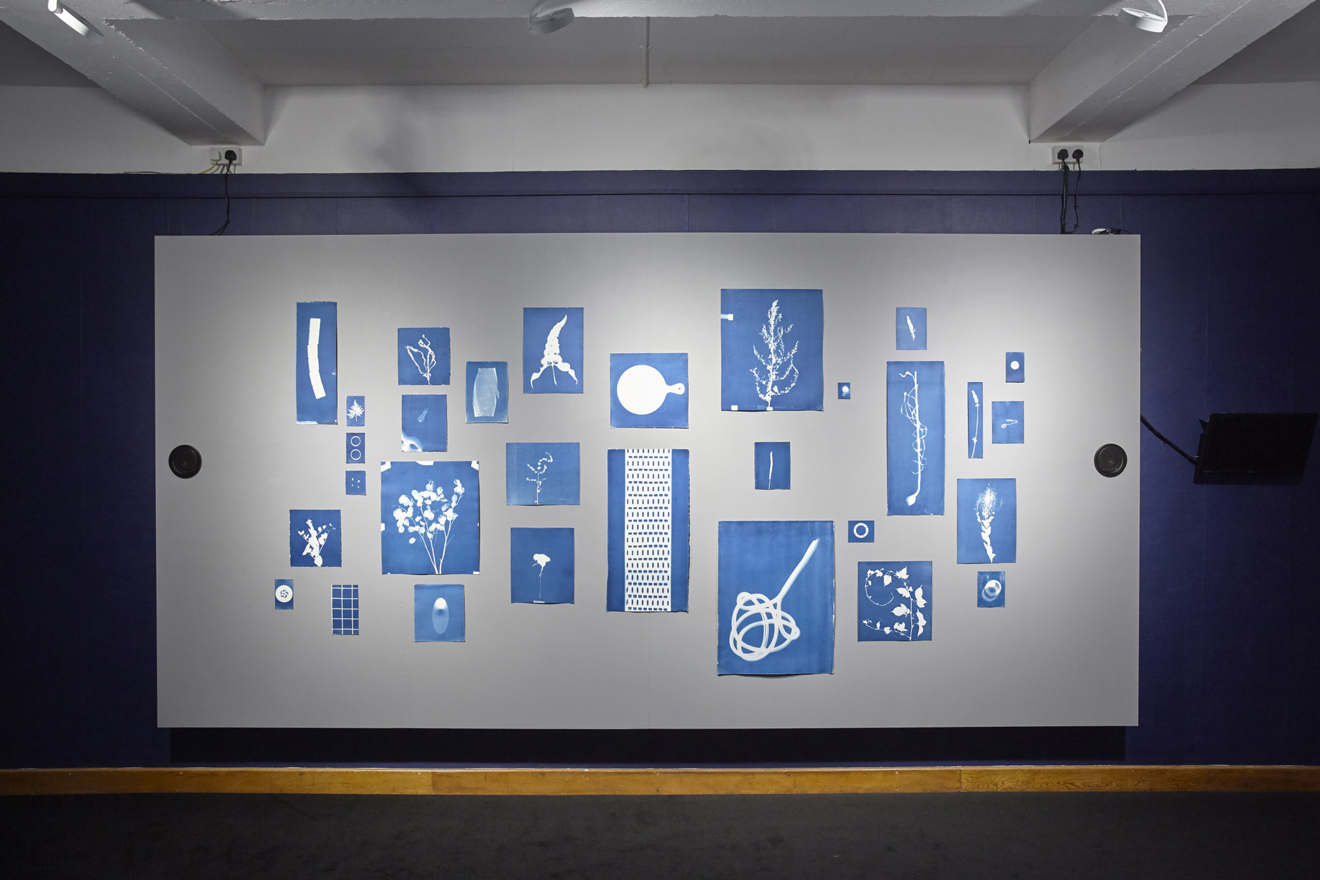 Jessie Brennan_Inside The Green Backyard (Opportunity Area)_2015-16_Installation_cyanotypes and oral recordings_panel 1.jpg