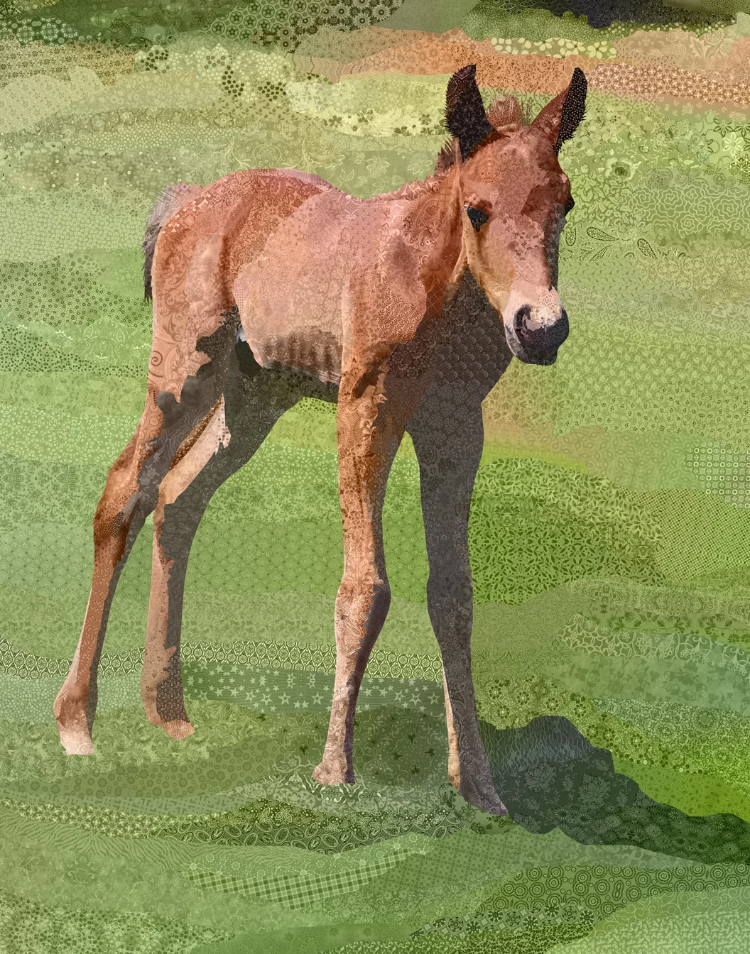 follysown.jpg