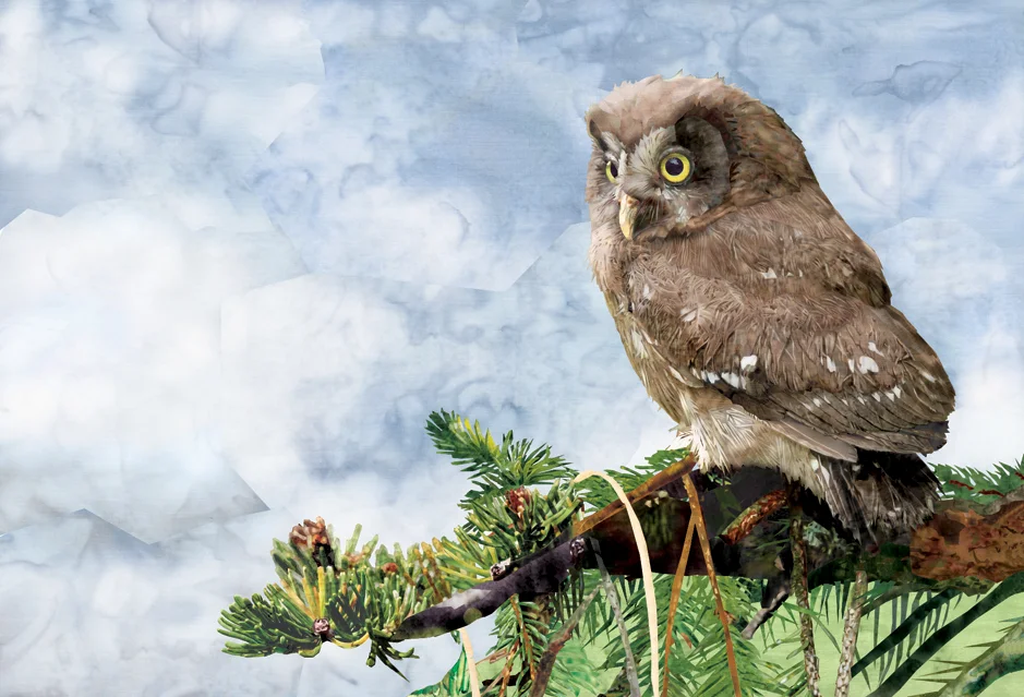 hootieonpine.jpg