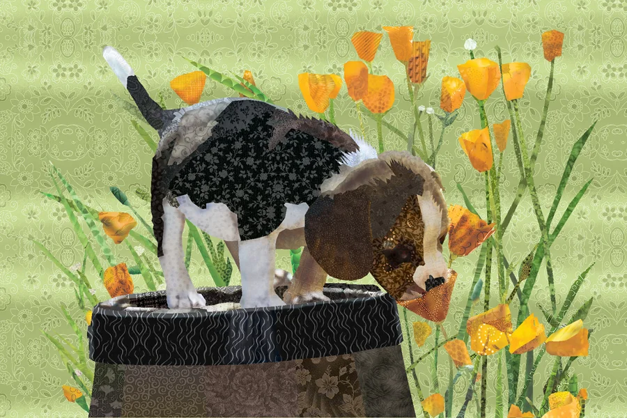 springpup.jpg