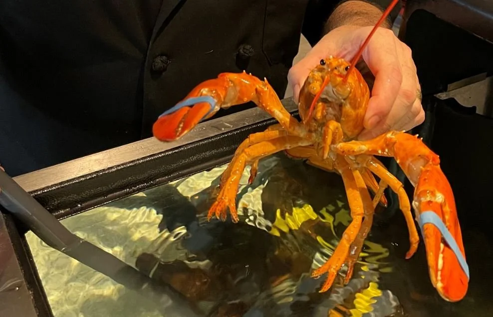 Rare Lobster Gets Stay of Execution