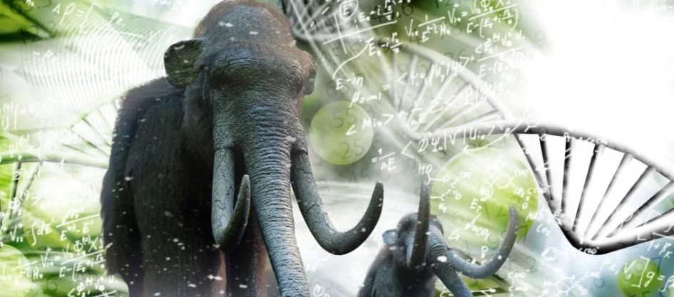 CIA, Paris Hilton, Peter Thiel Invest In Wooly Mammoth Resurrection