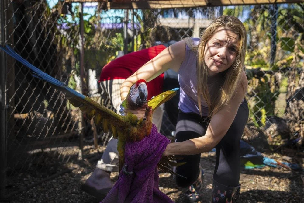 Heroic Couple saves  100s of Parrots and 2 Lemurs 