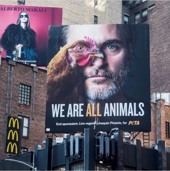 Joaquin Phoenix’s Lifetime of Animal Love
