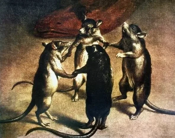 Lady Gaga, Queen, Mozart Get Rats Bopping to the Beat
