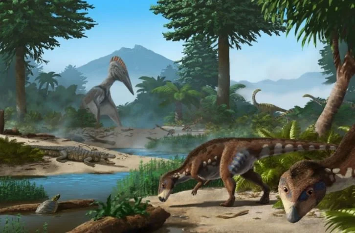 Flat-headed Dino Discovered in Romania (!)