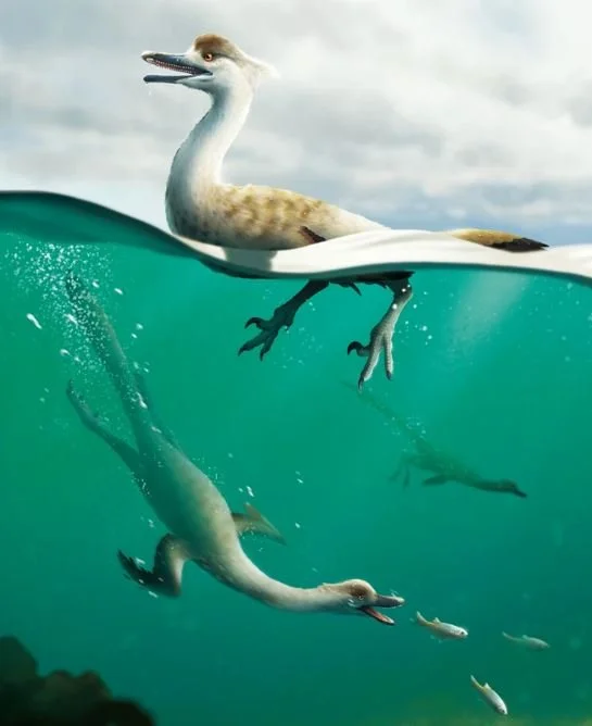 World’s First Swimming Dinosaur