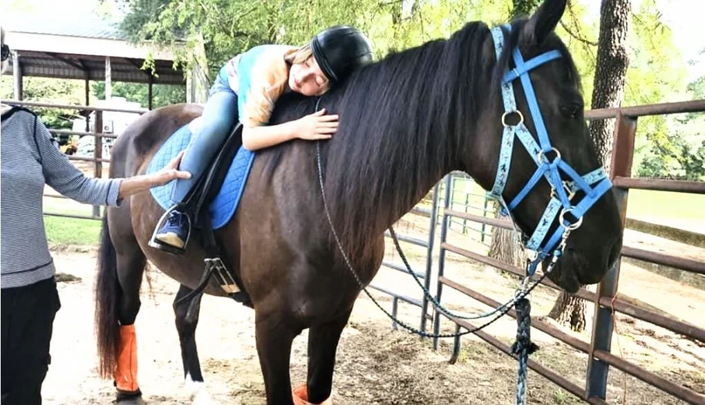 Abuse Victims (Animals and Humans) Get Together