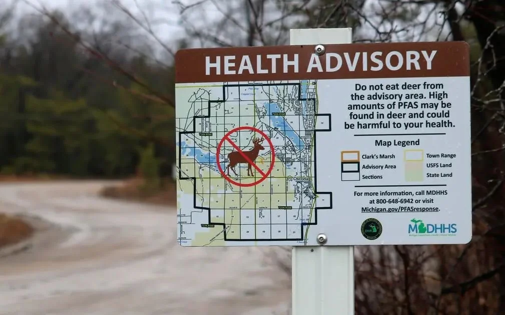 There’s No Escape From Forever Chemicals