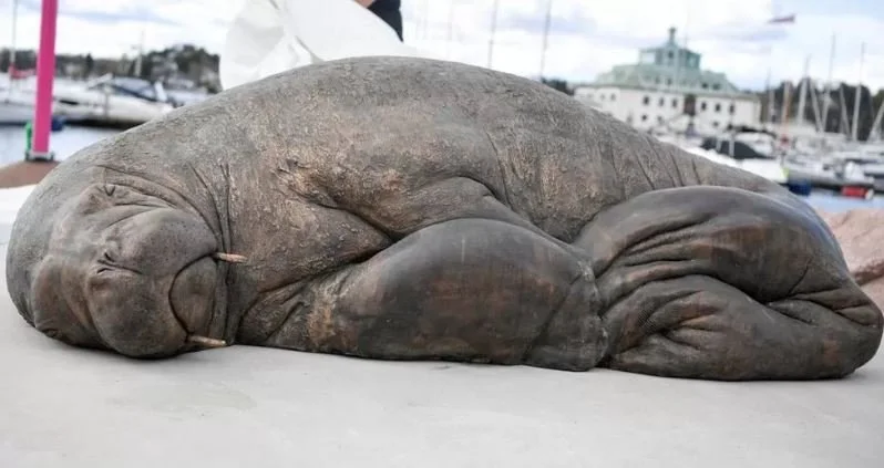 Walrus Freya, Murdered by Oslo Bureaucrats, Immortalized In Bronze