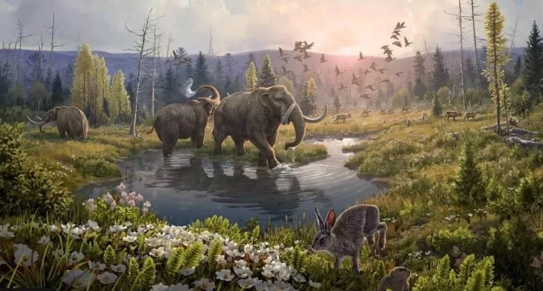 Scientists Stumble Into Vast Resource to Save Species