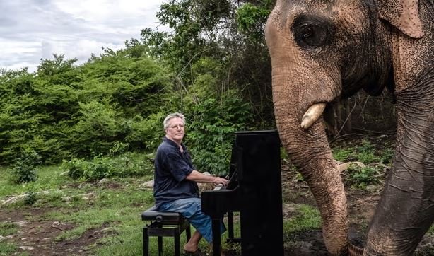 Pianist Soothes Blind Elephant Trapped in Darkness With Beethoven’s Pathetique