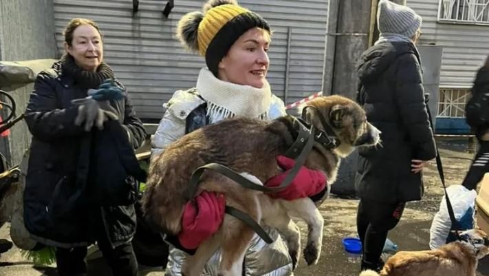 Russian Heroes Brave Sub-Zero Temperatures to Save Dogs from Certain Death in Siberia