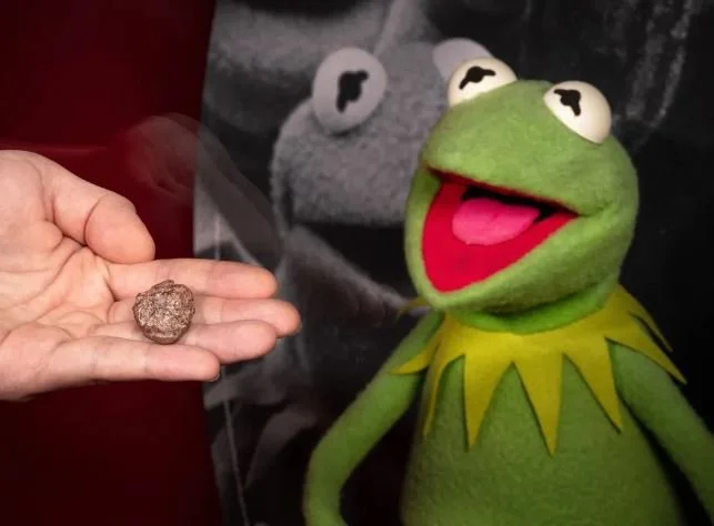 Kermit the Frog Immortalized by an Ancient Amphibian Fossil