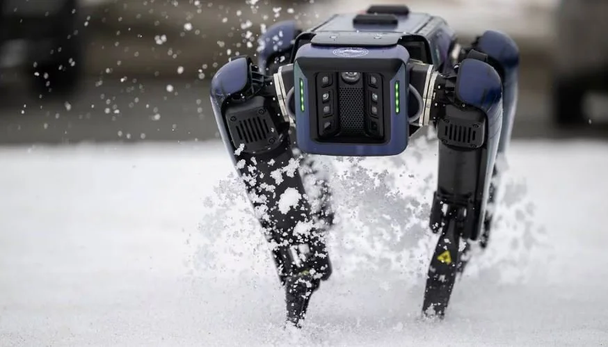 Robot Enlisted to Scare Wildlife at Alaska Airport