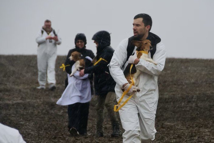 ‘Baywatch’ Actress Arrested in Beagle Rescue