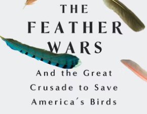 How Americans Went from Bird Killers to Nature Lovers