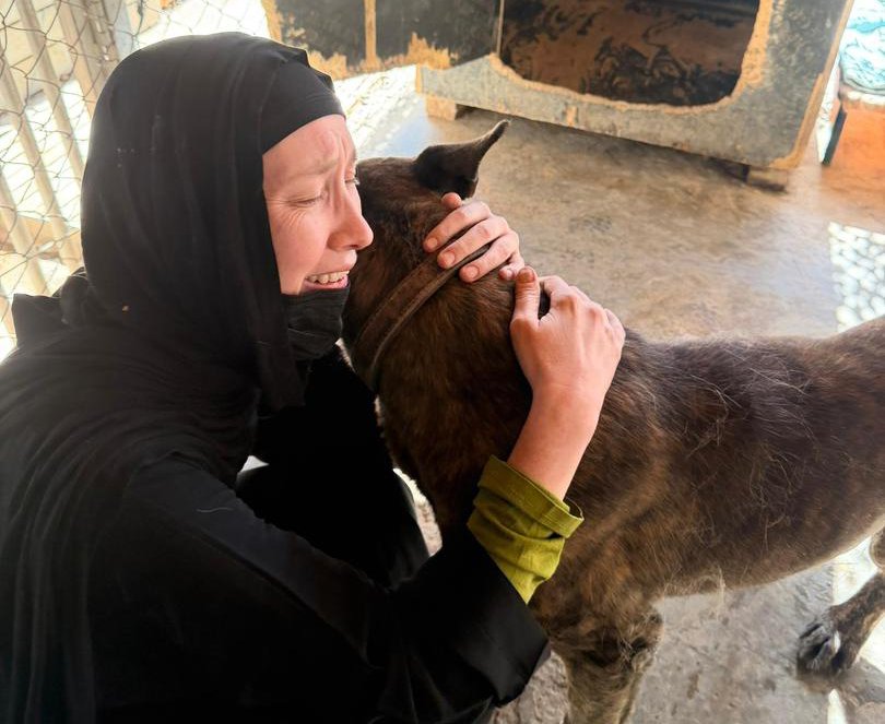 Kabul Small Animal Rescue Carries On in Tough Conditions