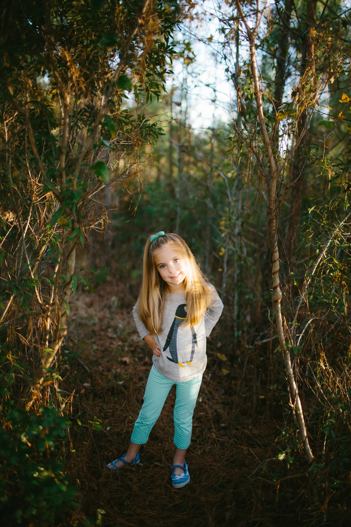 mccloskey-5.jpg