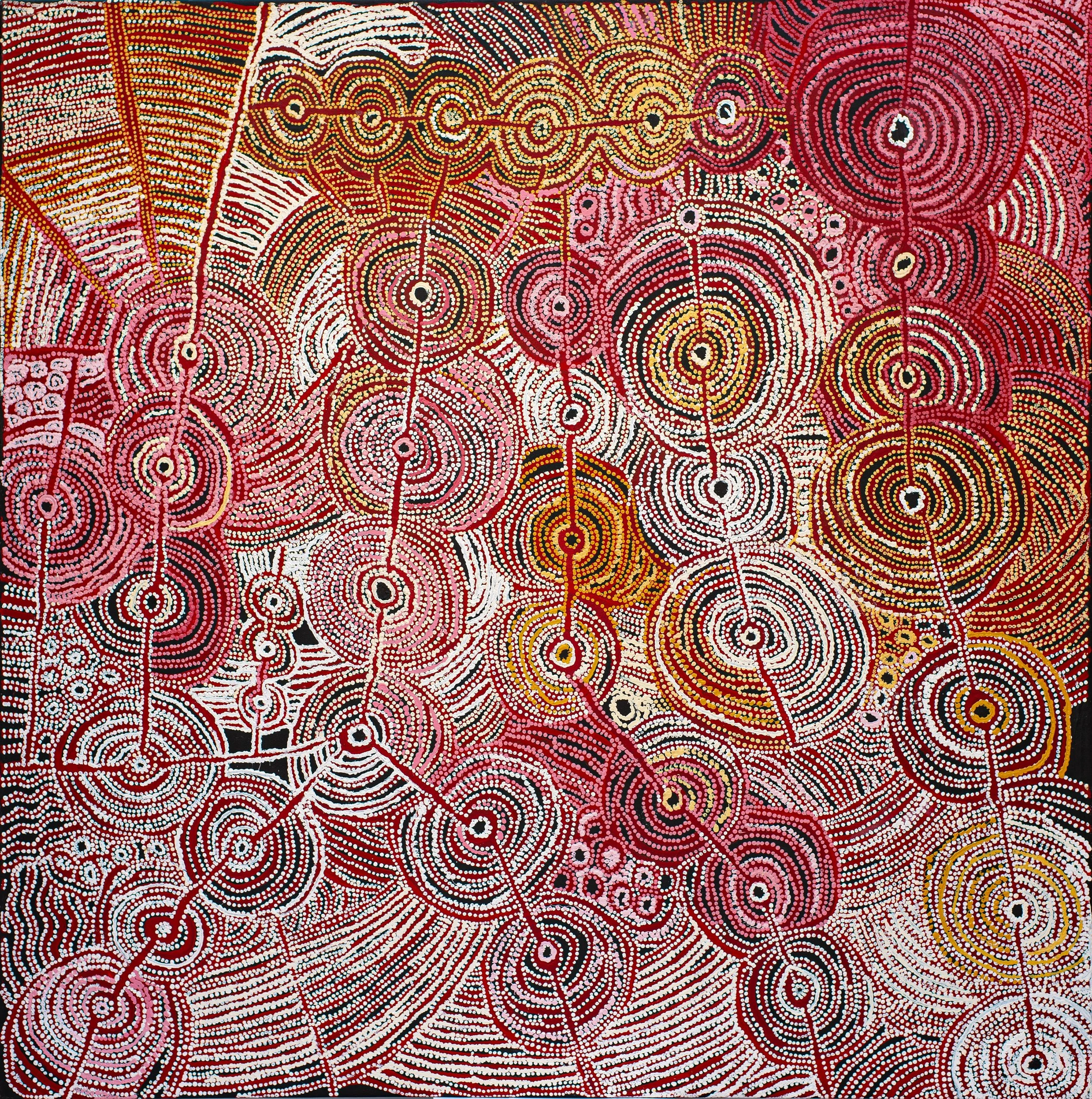 Maringka Burton - Anamaruku Tjuta (Many Caterpillars) - 198 x 198 cm - 642-22