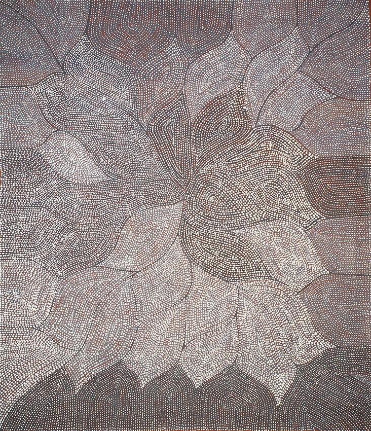 Richard Yukenbarri - Wayuta (possum) Dreaming (sold)