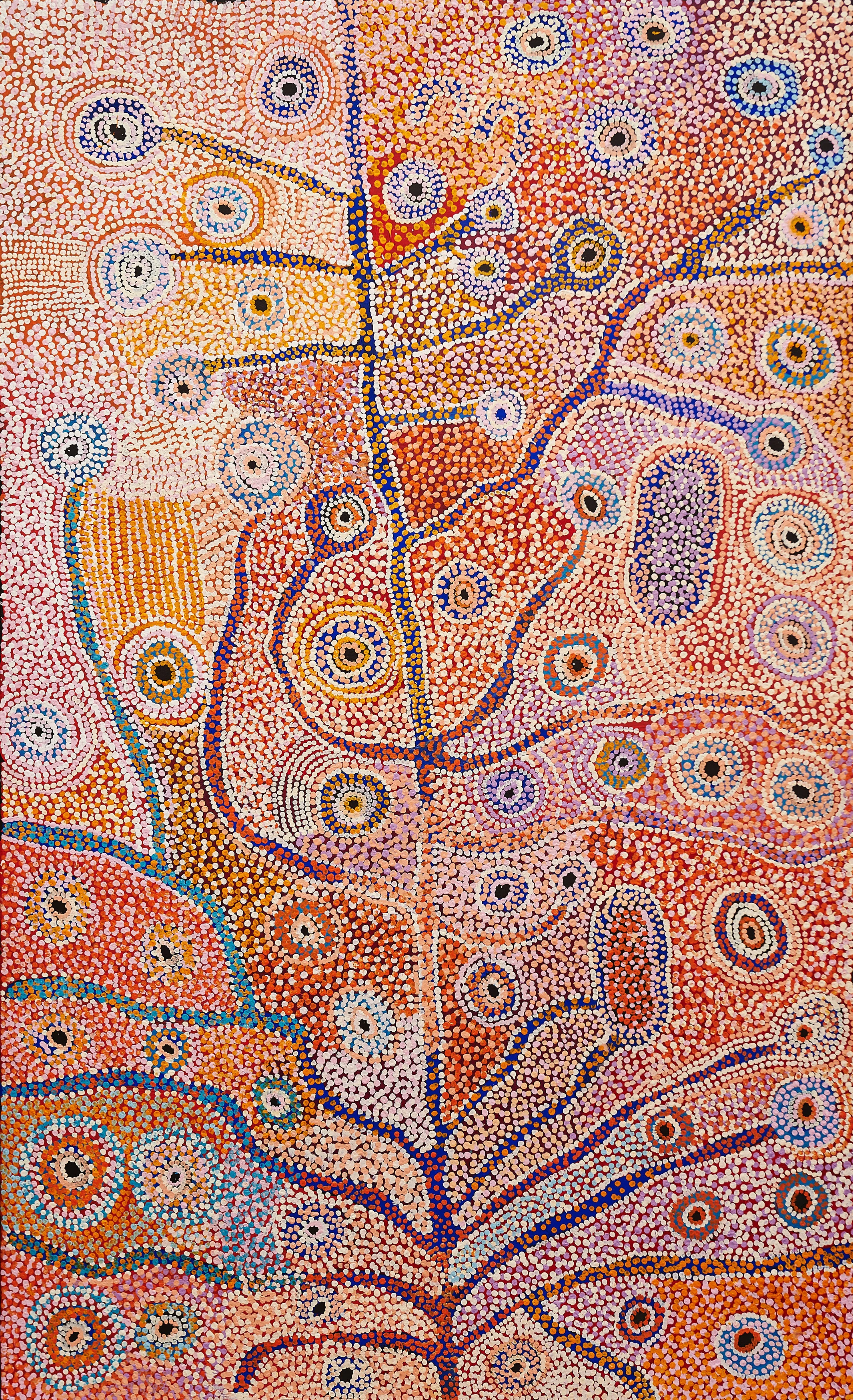 Antara, Maku Dreaming - Tuppy Ngintja Goodwin