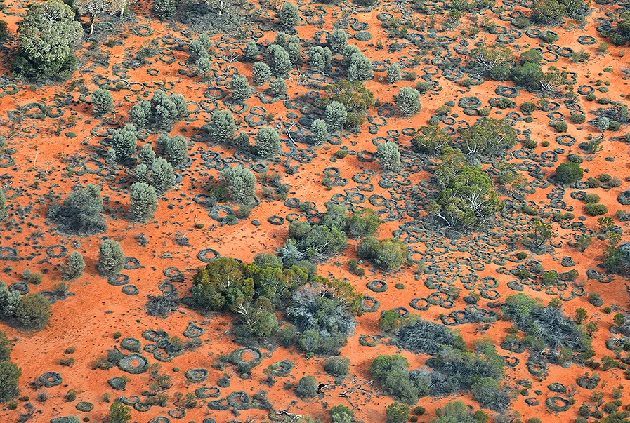 Spinifex country : Aboriginal territory