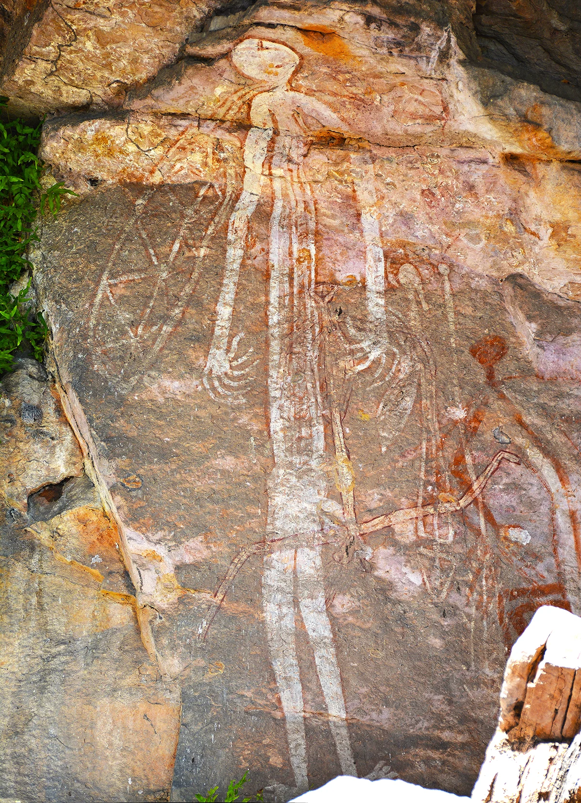 Esprit Aborigène du parc de Kakadu