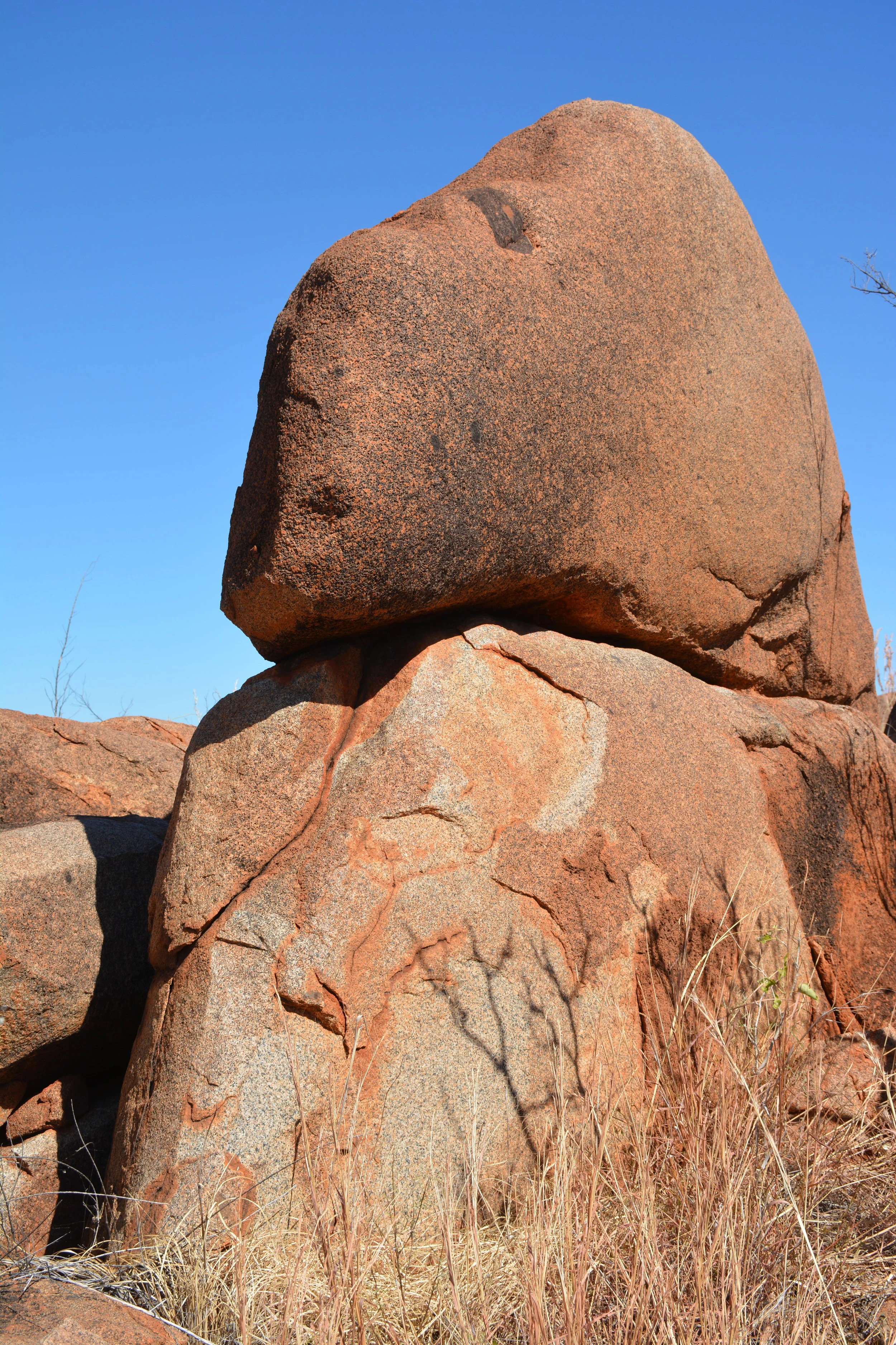 Bloc rocheux en forme animale