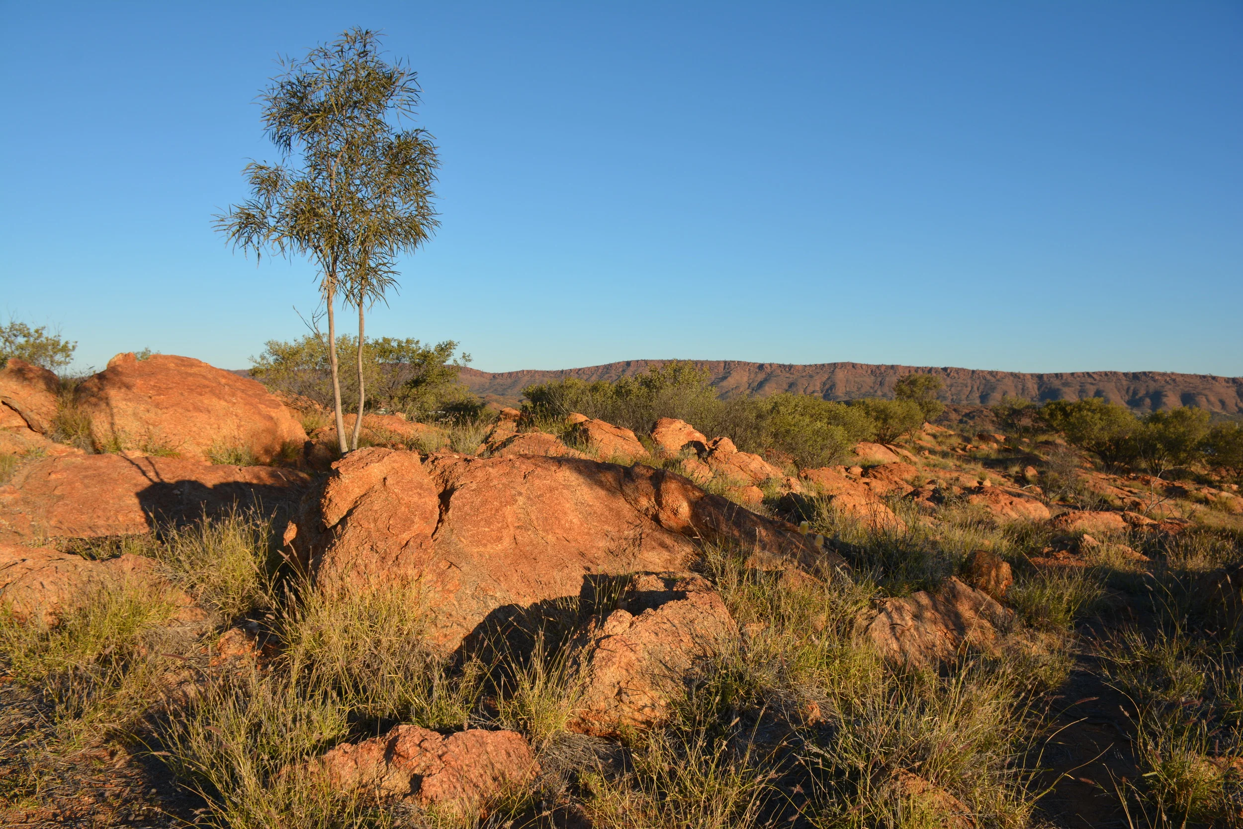 Hauteur des collines à Alice Springs