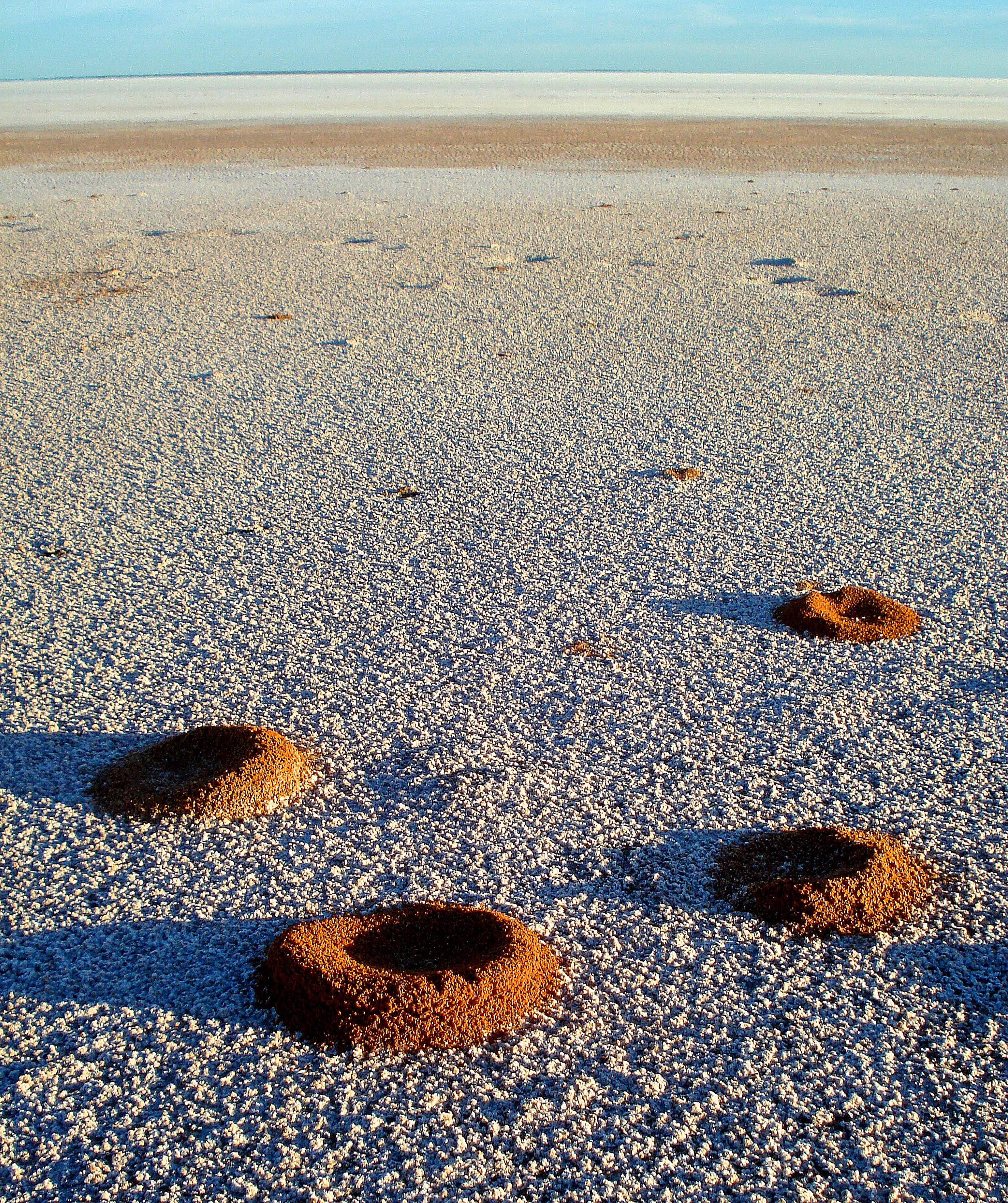 Lac Mackay : central desert © photo by Matthew Frost. Courtesy Papunya Tula Artists