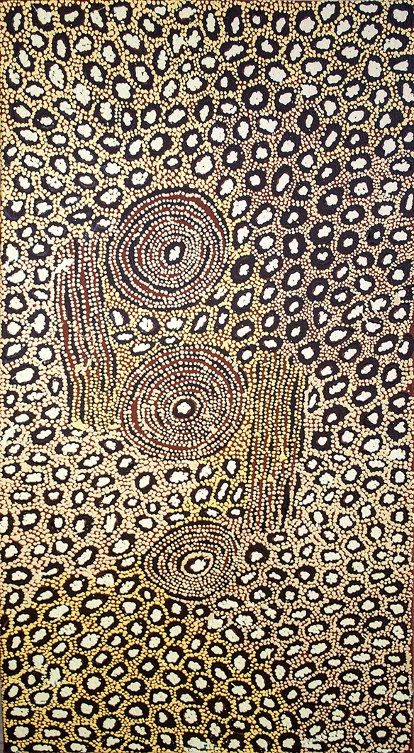 Nanyuma Napangati - Women’s ceremonies water site of Ngaminya (sold)