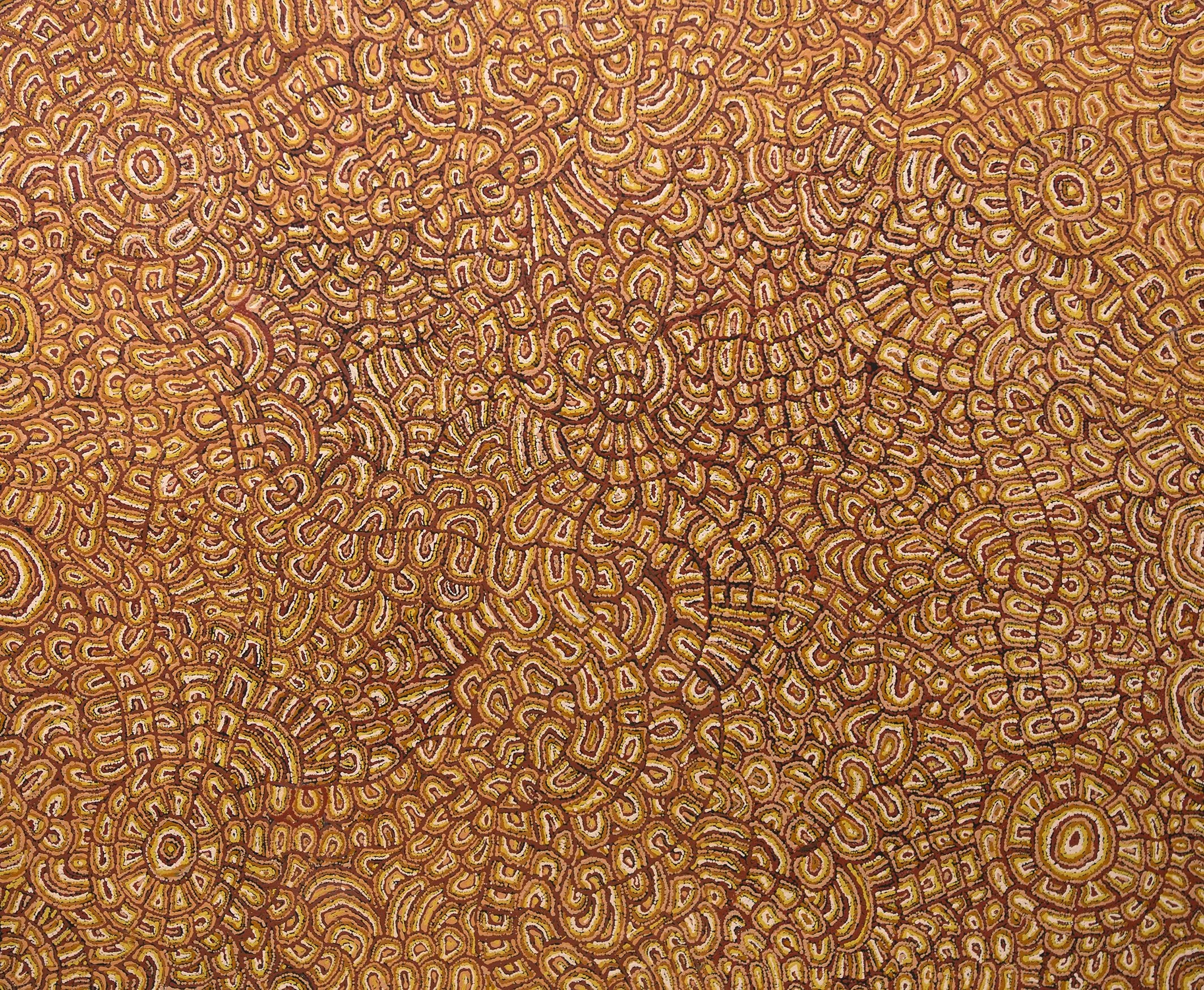 Katrina Tjitayi - Kaliny-kaliny / Honey Grevillea - 122 x 100 cm