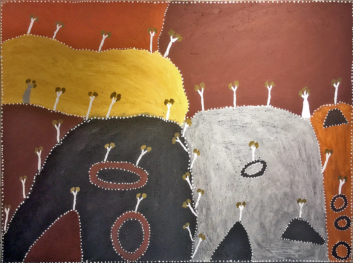 Patrick Mung Mung - Ngarrgooroon - 120 x 90 (sold)