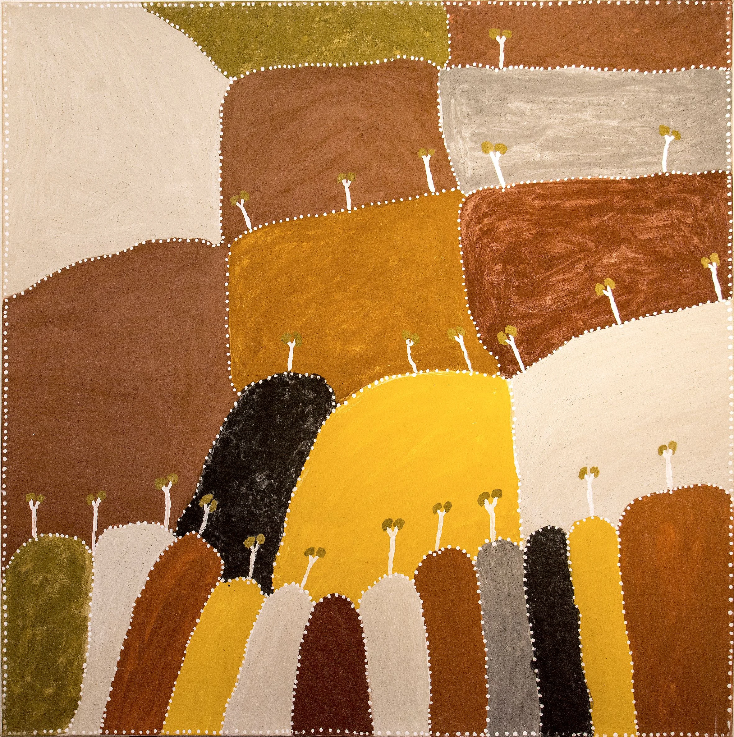 Patrick Mung Mung - Ngarrgooroon country - 120 x 120 - 585/13 (sold)