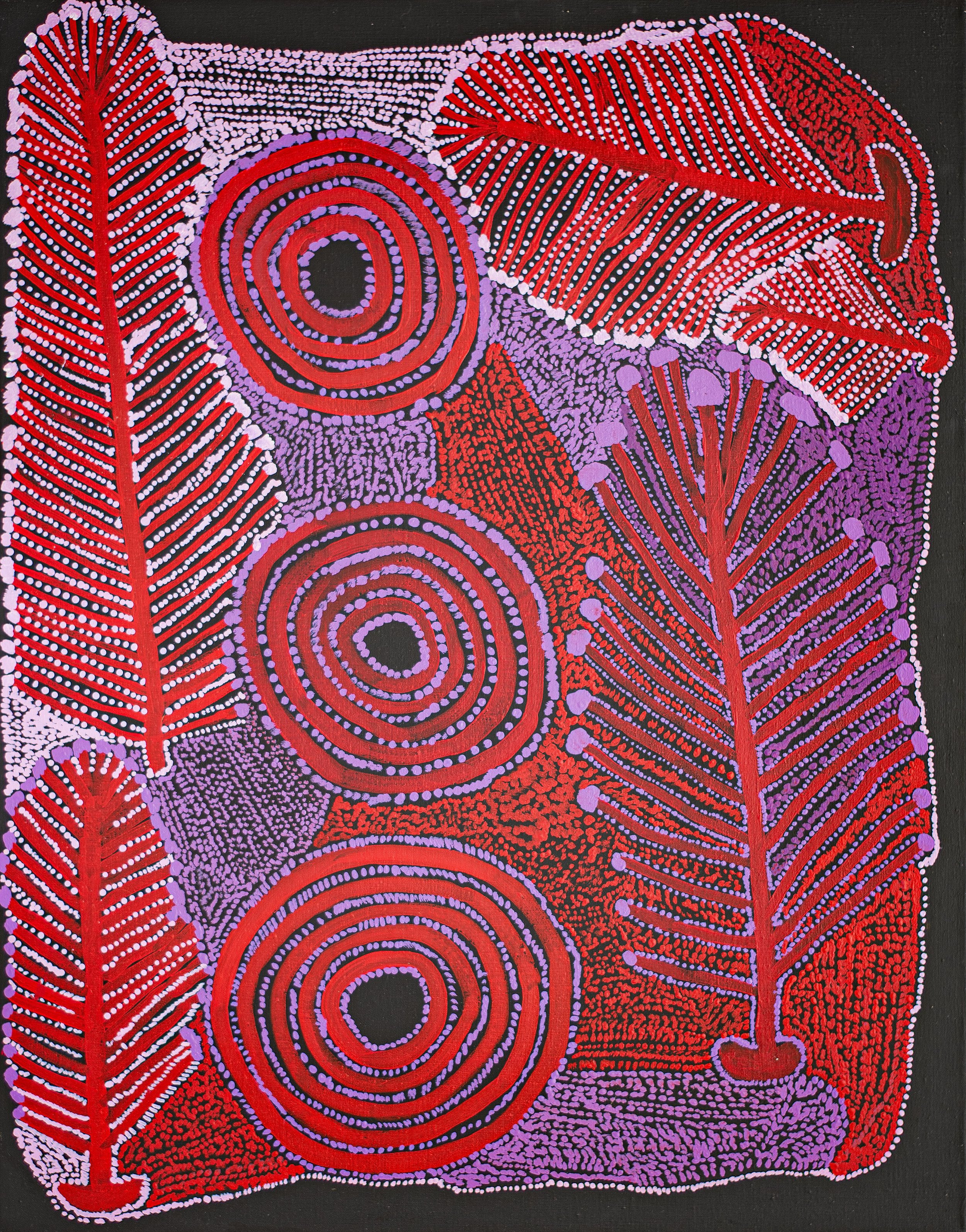 Ian Rictor - Kamanti munu Tjilupi - 110 x 85 cm - 25-462